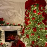 Американский булли щенки питомник DOM GUCCI