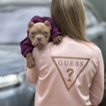 Американский булли щенки питомник DOM GUCCI