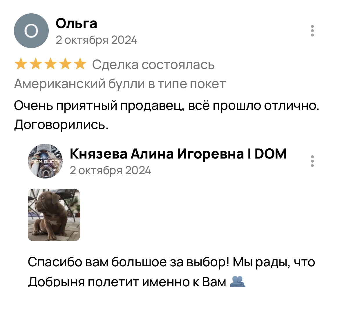 Американский булли щенки питомник DOM GUCCI