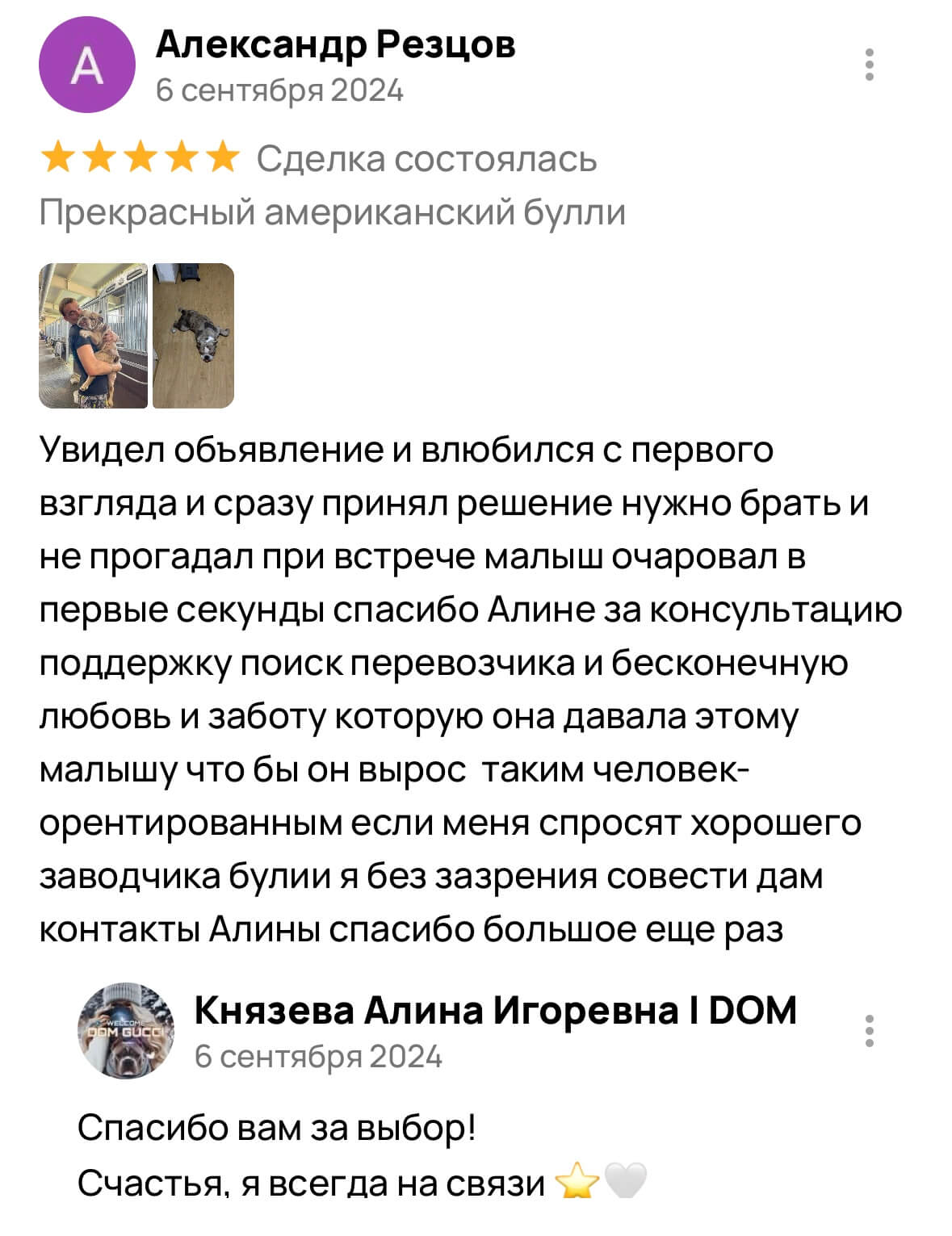 Американский булли щенки питомник DOM GUCCI