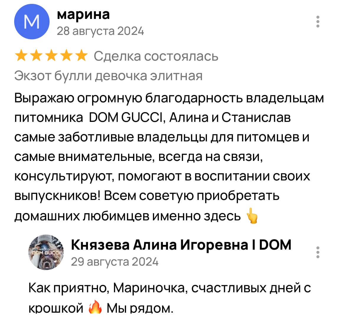 Американский булли щенки питомник DOM GUCCI