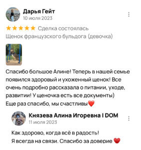 Американский булли щенки питомник DOM GUCCI