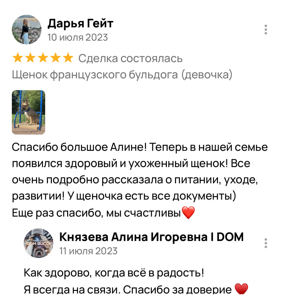 Американский булли щенки питомник DOM GUCCI