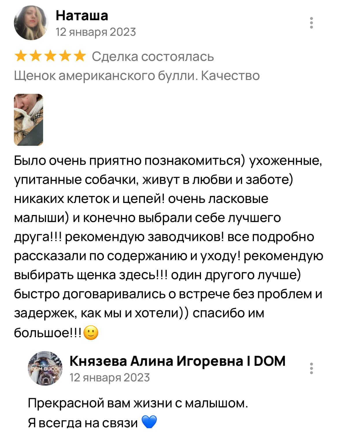 Американский булли щенки питомник DOM GUCCI