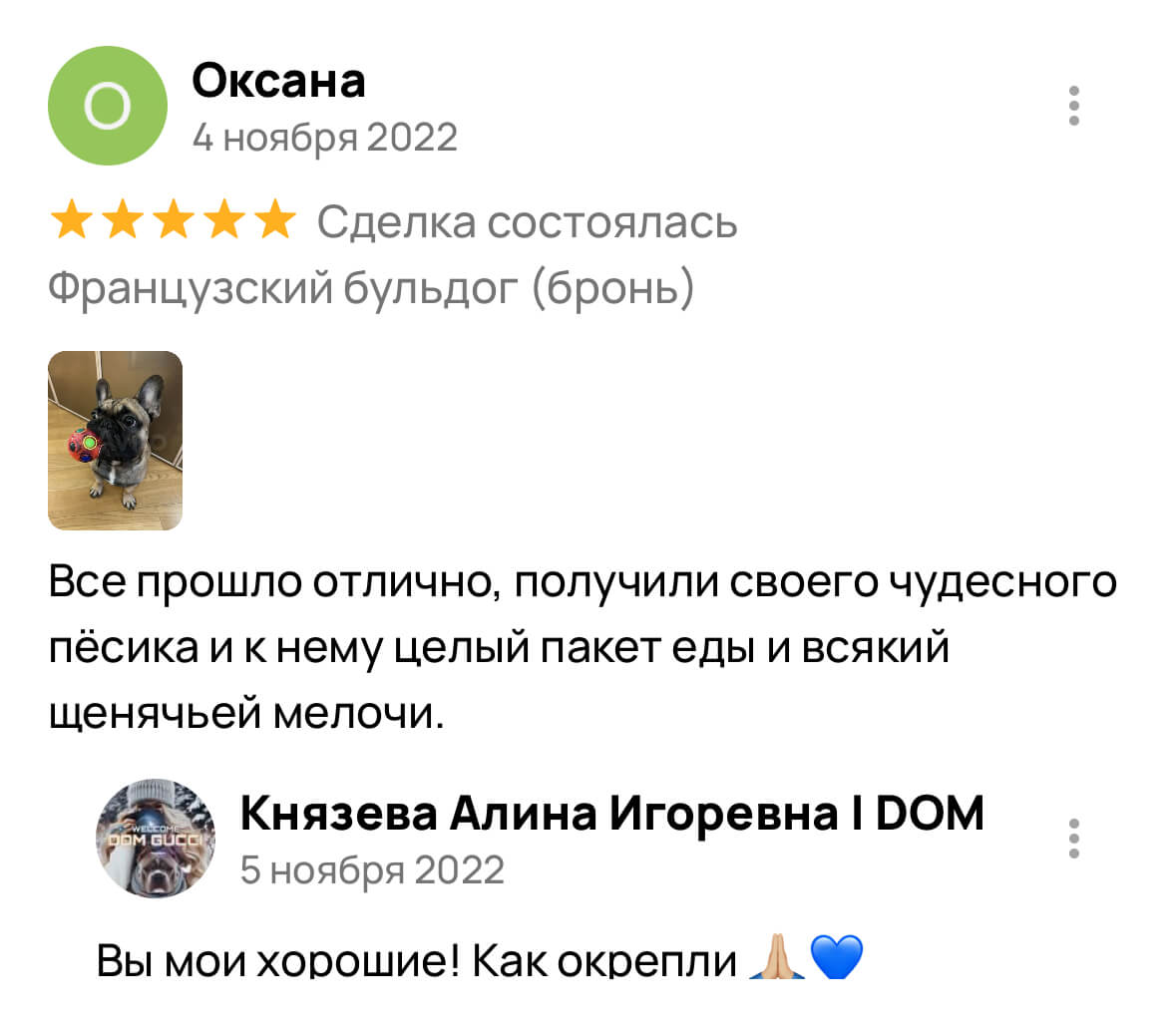 Американский булли щенки питомник DOM GUCCI