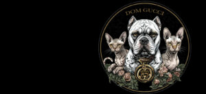 Американский булли щенки питомник DOM GUCCI